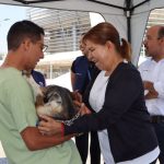 SSM invita a jornada de esterilización animal gratuita en Tarímbaro