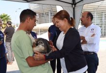 SSM llevará jornada gratuita de esterilización animal a Quiroga