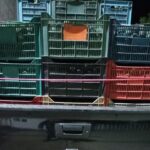 Se van a proceso a dos ladrones de un camión que transportaba 4 toneladas de aguacate