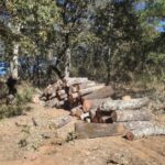 Vinculan a proceso a Ramiro “N”, por transportar madera de manera ilegal