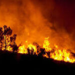 Se registra incendio en las inmediaciones del recinto ferial