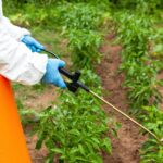 Prevé UMFFAAC crisis de productividad agrícola si se prohibe el glifosato