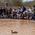 En tres años, Ostok Sanctuary ha rescatado mil 800 animales silvestres