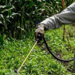 Decisión del gobierno sobre el glifosato abre camino para hacer más productivo al campo: UMFFAAC