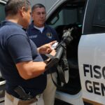 Avanzan investigaciones de multihomicidio en la colonia Santa Cecilia