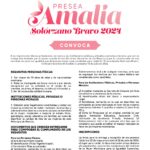 IMMUJERIS, invita a activistas a postularse a la Presea “Amalia Solórzano Bravo”
