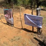 Asegura FGE predio relacionado en delitos contra el ambiente y plantación ilegal de aguacate