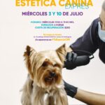 Colegio de Morelia abre talleres para el Bienestar Animal