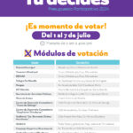 Vota por el mejor proyecto en el Presupuesto Participativo 2024