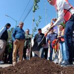 Alfonso Martínez invita a plantar arbolitos en banquetas