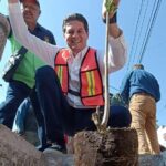 Invita gobierno de Morelia sumarme al programa “Planta un Árbol en tu Banqueta”