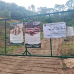FGE realiza cateo y asegura inmueble relacionado en delitos contra el ambiente, en Morelia