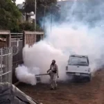 Más de 980 mil acciones realizadas durante 2024 contra el dengue: SSM