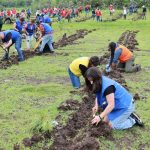 Gobierno Morelia, cerca de plantar 1 millón de árboles