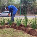 Trabaja Gobierno de Morelia en limpieza de camellones al sur de Morelia