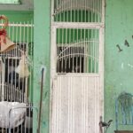 En operativo en Apatzingán: FGE asegura inmueble, droga y detiene a vinculado a actividades ilícitas y detiene a Rafael “N’