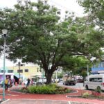 En todo Morelia se embellecen áreas verdes