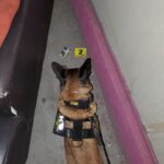 Catean un bar de Morelia, localizan narcótico y detienen a Hugo “N”