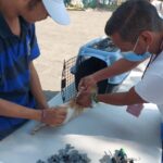Disponible en centros de salud la vacuna antirrábia canina y felina: SSM