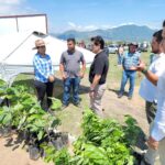 Impulsa Partido Verde creación de vivero en Coahuayana