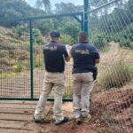 Por estrategia Guardián Forestal, FGE redobla esfuerzos contra el cambio ilegal de uso de suelo para cultivos de aguacate