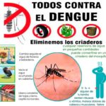 ¡Aguas con el dengue! Estos factores favorecen su desarrollo en el hogar