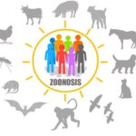 SSM previene enfermedades transmitidas por animales