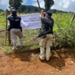 Catean predio relacionado en delitos contra el ambiente; se detectó tala y plantación de aguacate