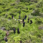 Guardia Civil amplía e intensifica búsqueda de policías comunales de La Cantera