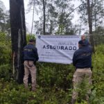 Cumplimenta FGE orden de cateo en predio relacionado en delitos contra el ambiente