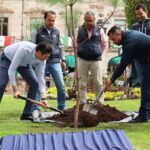 Alfonso Martínez planta el árbol “un millón” en Morelia
