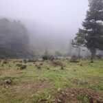 Impulsa Fiscal fortalecimiento institucional para la protección del medio ambiente en Michoacán