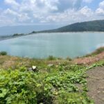 En Tacámbaro, FGE cateo dos predios relacionados en plantación ilegal de aguacate