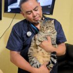 Enfermedades respiratorias en perros y gatos se disparan 60% en temporada de lluvias y frentes fríos, alerta veterinario