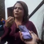 Hasta 15 comisiones podría conformar PT, Morena y PVEM: Reyes Galindo