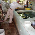 Implementar esta estrategia te ayudará a prevenir el dengue en casa: SSM