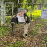 Realiza cateo FGE en predio relacionado en delitos contra el ambiente, en Salvador Escalante