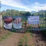 Catean en predio relacionado en delitos contra el ambiente, en Los Reyes