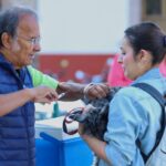 SSM aplica vacunas antirrábicas gratuitas en el Centro de Morelia
