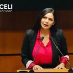 Desde el Senado aportamos a fortalecer la seguridad en el país: Araceli Saucedo Reyes