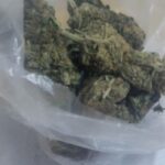 Detienen a velador en posesión de marihuana