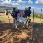 FGE cateo en predio relacionado en tala y cultivo ilegal de aguacate