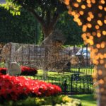 El espíritu navideño impregna Morelia; turistas quedan maravillados