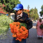 Visitantes del Panteón Municipal de Morelia, destacan limpieza y seguridad