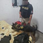 Asegura FGE sustancia con apariencia de narcótico y detiene a una persona