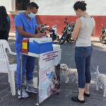 Vigente vacunación antirrábica en Michoacán: SSM