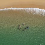 Playas michoacanas, aptas para vacacionar esta temporada: SSM