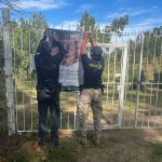 Catean por delitos contra el ambiente; se detectó plantación de aguacate