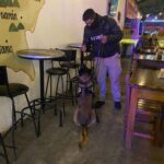 Realiza FGE cateo en bar de Morelia y asegura 150 dosis de narcótico