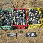 SSP y Defensa desactivan más de 200 explosivos en Apatzingán
